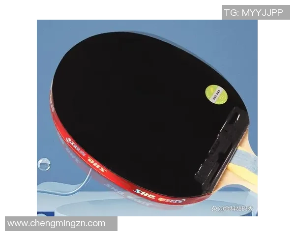 乒乓球装备选购指南：如何选择适合自己的球拍推荐与技巧分享